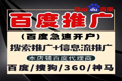 深入了解SEM竞价代运营公司：成功背后的故事